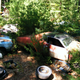Illustration for article titled Massive Secret Mustang Junkyard Found In Rhode Island Forest